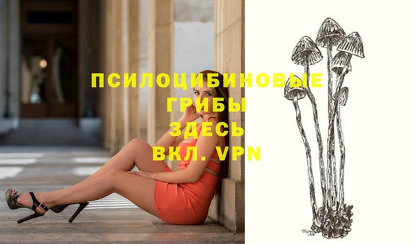 гидропоника Богородицк