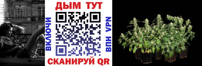 Бошки Шишки план Кирс